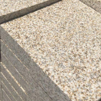 供应花岗岩芝麻黑白灰火烧板荔枝面广场庭院地铺石黄金麻路沿石材